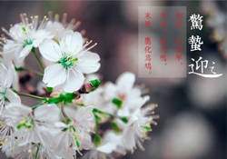 驚蟄為何要打小人？驚蟄為什么要打小人？