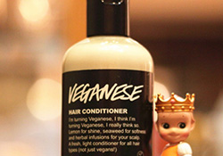 lush護(hù)發(fā)素哪個好？lush護(hù)發(fā)素推薦