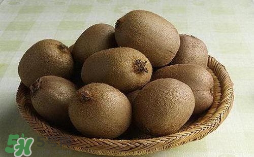 獼猴桃可以做面膜嗎？獼猴桃怎么做面膜？