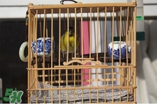 禽流感期間能接觸鳥糞嗎？碰到鳥糞會得禽流感嗎？