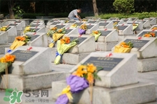 3月份可以掃墓嗎？三月份可以上墳嗎？