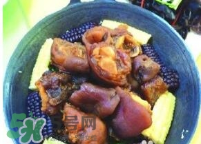 含膠原蛋白的食物有哪些？什么食物含膠原蛋白最多？