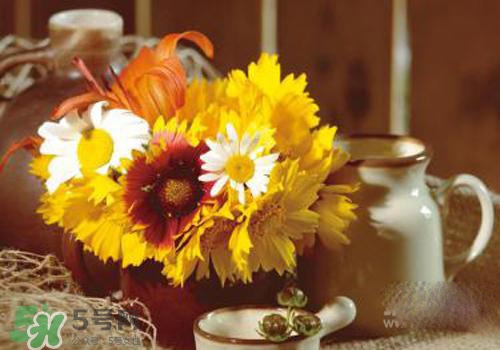 花粉過敏會(huì)遺傳嗎？花粉過敏為什么會(huì)遺傳？