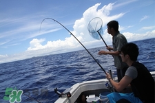 三月份可以釣魚了嗎？三月份好釣魚嗎？