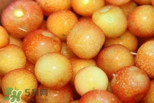 白玉櫻桃是什么？白玉櫻桃能吃嗎？