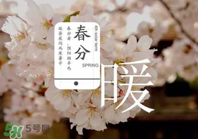 春分種什么菜？春分適合種什么菜？