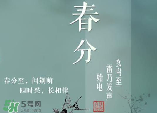 春分種什么菜？春分適合種什么菜？