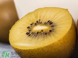 奇異果多少錢一斤？奇異果多少錢一個？