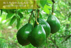 牛油果可以放多久？牛油果放冰箱能放多久？