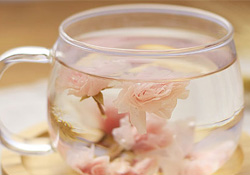 櫻花可以泡水嗎？櫻花泡水喝的功效與作用