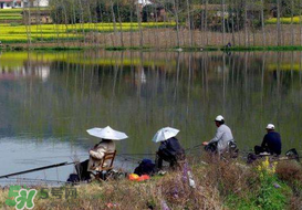 驚蟄前后好釣魚嗎？驚蟄前后釣魚技巧