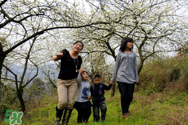 驚蟄穿什么衣服？驚蟄穿什么？