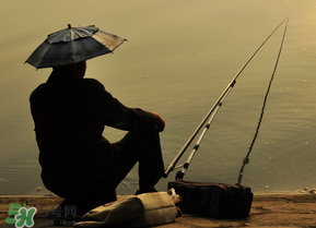 驚蟄能釣魚嗎？驚蟄釣什么魚好？