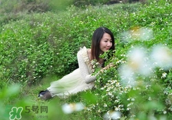 花粉過(guò)敏戴口罩有用嗎？花粉過(guò)敏戴什么口罩好？