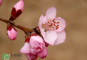 2017年春分是什么時候？2017年春分是幾月幾號？