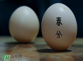 春分為什么能豎蛋？春分豎蛋原理