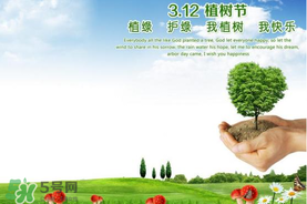 植樹節(jié)為什么要種樹？植樹節(jié)種樹的意義