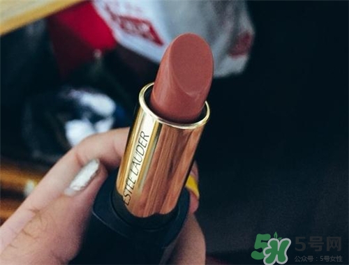 雅詩蘭黛envy110試色 雅詩蘭黛傾慕唇膏110試色圖 雅詩蘭黛envy110試色 雅詩蘭黛傾慕唇膏110試色圖