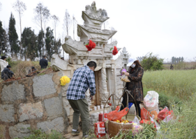 春分可以上墳嗎？春分可以掃墓嗎？