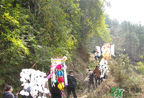 2017年什么時候攔社？2017年新墳攔社是哪一天？