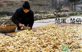 2017年什么時候攔社？2017年新墳攔社是哪一天？