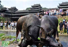 春社日怎么計算？2017年春社怎么算？