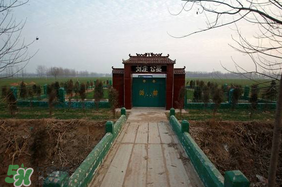 新墳不過社是什么意思？新墳不過社2017年哪一天？