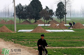 新墳不過社是什么意思？新墳不過社2017年哪一天？