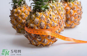 三月份什么水果上市？3月份什么水果上市？