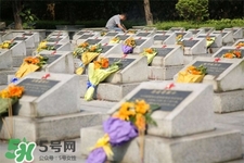 2017年清明節(jié)天氣怎么樣？2017年清明節(jié)天氣情況預(yù)測(cè)