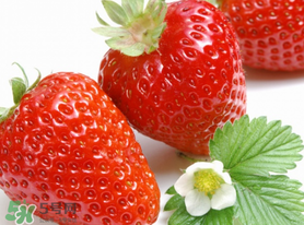 三月份有草莓嗎？三月份的草莓可以吃嗎？