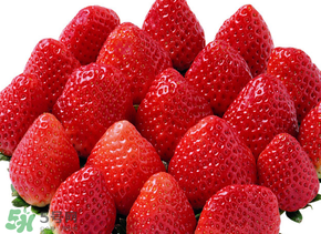 三月份有草莓嗎？三月份的草莓可以吃嗎？