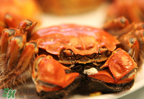 3月份還有大閘蟹嗎？3月份的大閘蟹能吃嗎？