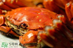 三月份吃什么螃蟹？3月份吃什么螃蟹？