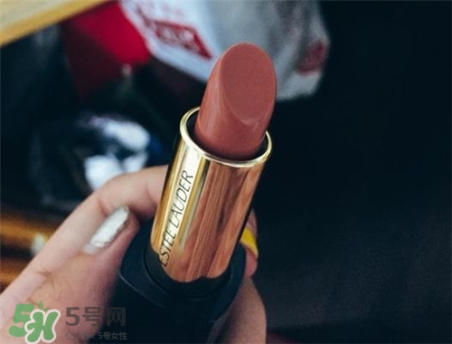 雅詩(shī)蘭黛envy110多少錢(qián)？雅詩(shī)蘭黛傾慕唇膏110價(jià)格