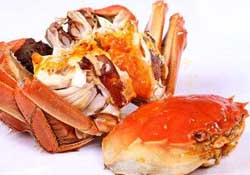 三月份吃什么螃蟹？3月份吃什么螃蟹？