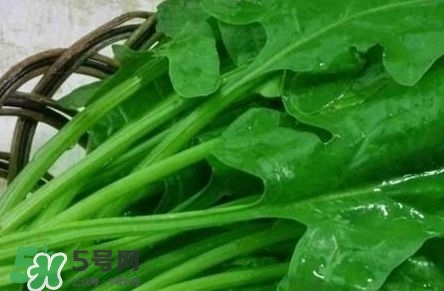 富含葉酸的食物有哪些？富含葉酸的蔬菜水果