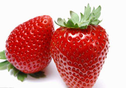 陽臺(tái)上怎么種草莓？如何在陽臺(tái)上種草莓？