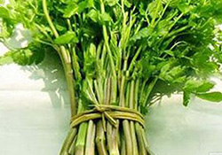 孕婦可以吃野芹菜嗎？孕婦吃野芹菜有什么好處？