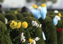 平時(shí)可以去掃墓嗎？平常可以去上墳嗎？