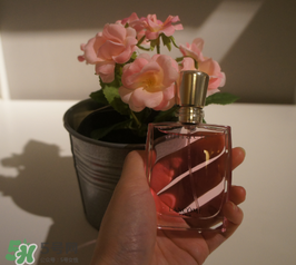 蘭蔻和迪奧香水哪個好？蘭蔻和迪奧香水推薦