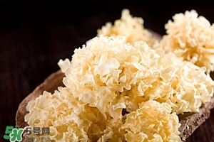 銀耳湯的做法 銀耳湯怎么做 銀耳湯的做法 銀耳湯怎么做