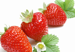 家里可以種草莓嗎？陽臺上可以種草莓嗎？