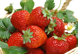 自己在家種草莓好養(yǎng)嗎？如何在家里種草莓？