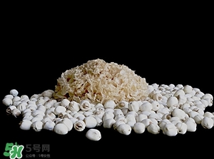 銀耳湯的做法 銀耳湯怎么做 銀耳湯的做法 銀耳湯怎么做