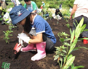 ?3月份可以種什么？?3月份可以種什么果樹(shù)？