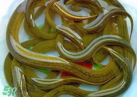 三月份可以釣黃鱔嗎？幾月可以釣黃鱔？