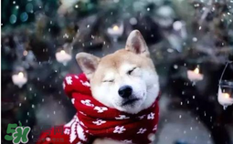 3月份還有冷空氣嗎？什么時候冷空氣結(jié)束？