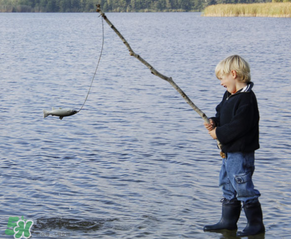3月份釣什么魚？3月份怎么釣魚？