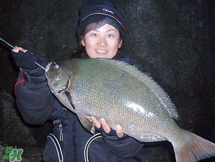 3月份釣魚用什么餌料？三月份釣魚用什么魚餌？